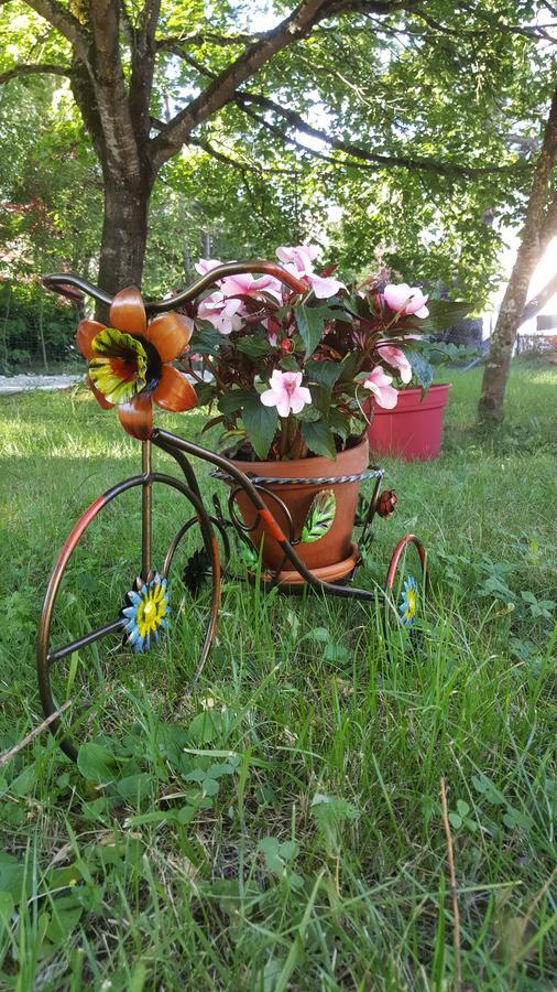 Le Saule Reveur Bed & Breakfast Die Eksteriør bilde